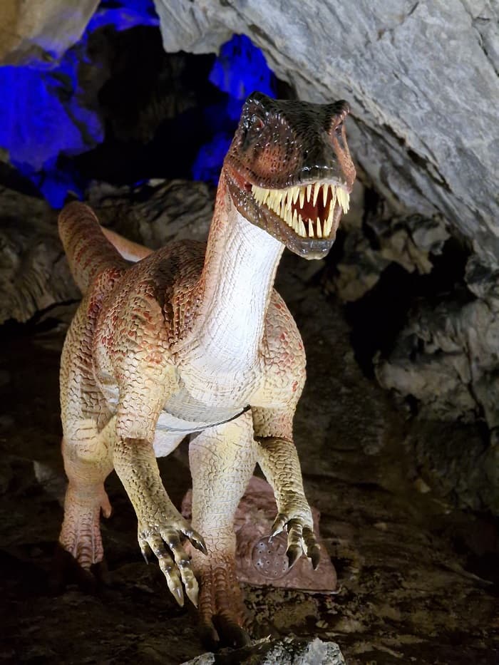 COVA BASTERA - DINOPEDIA EXPERIENCE