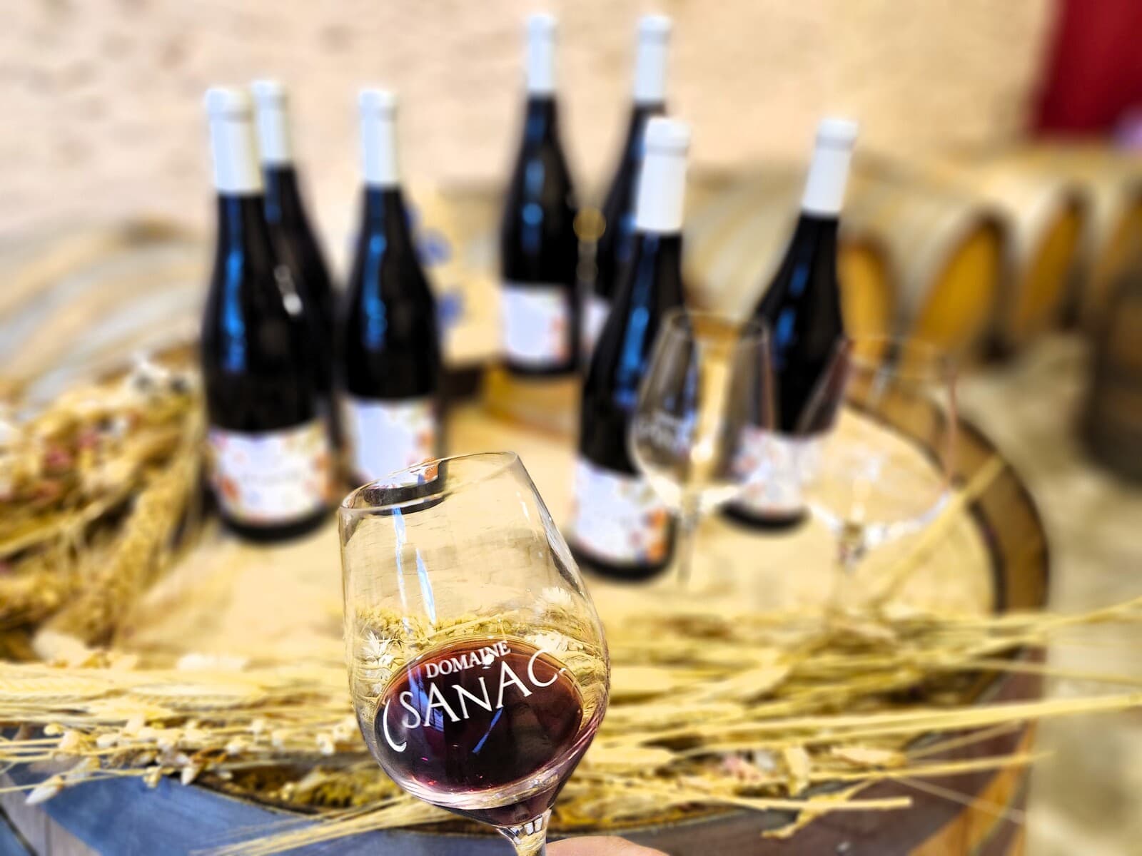DOMAINE SANAC