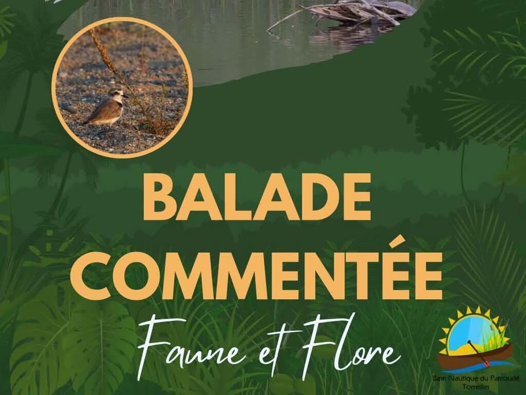 FMA TORREILLES BALADE COMMENTE BASE NAUTIQUE DU PARROUDE