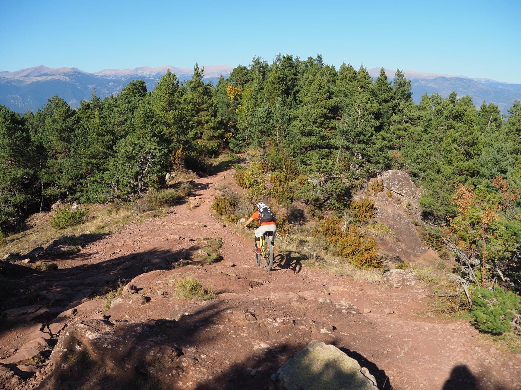 ADN VTT 2