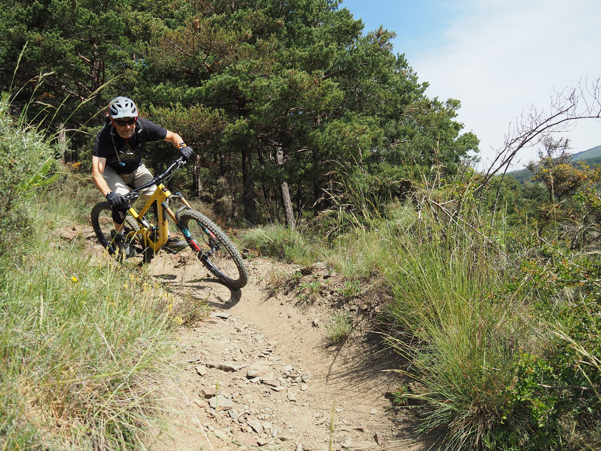 ADN VTT 3