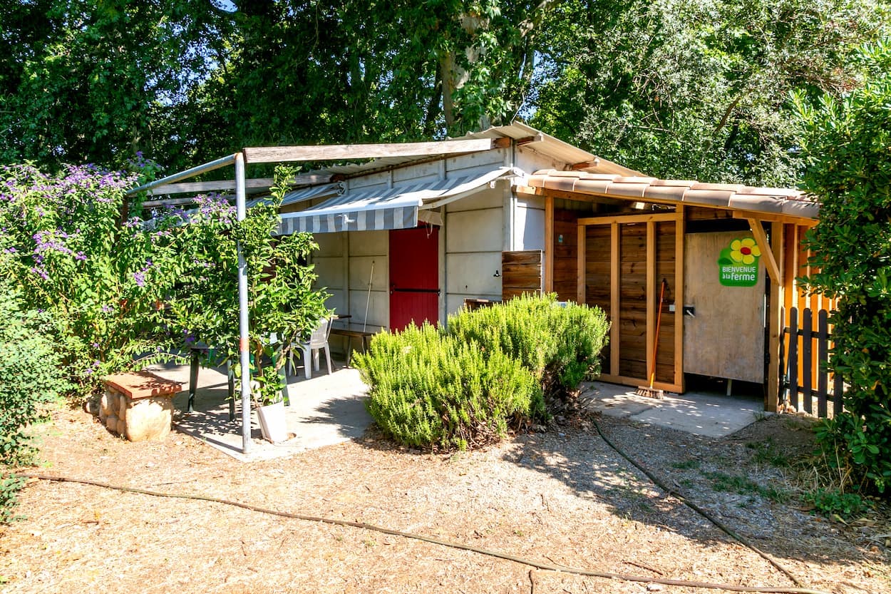 Accueil-camping-mas-saragosse-millas