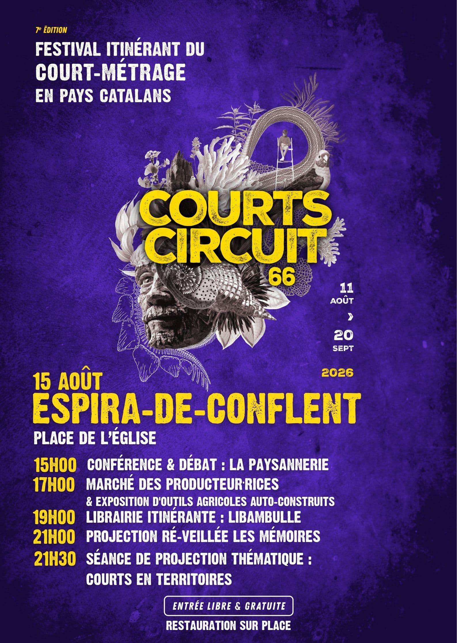 courts circuit 66