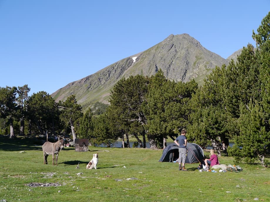 Aire de repos et pique nique