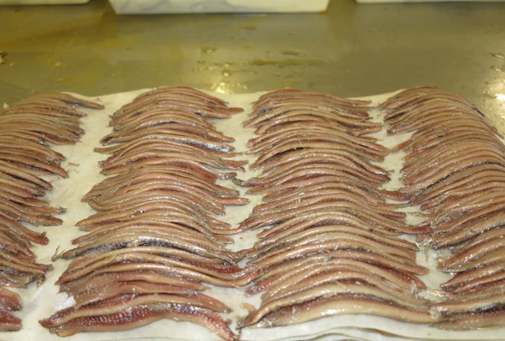 Anchois Desclaux 6