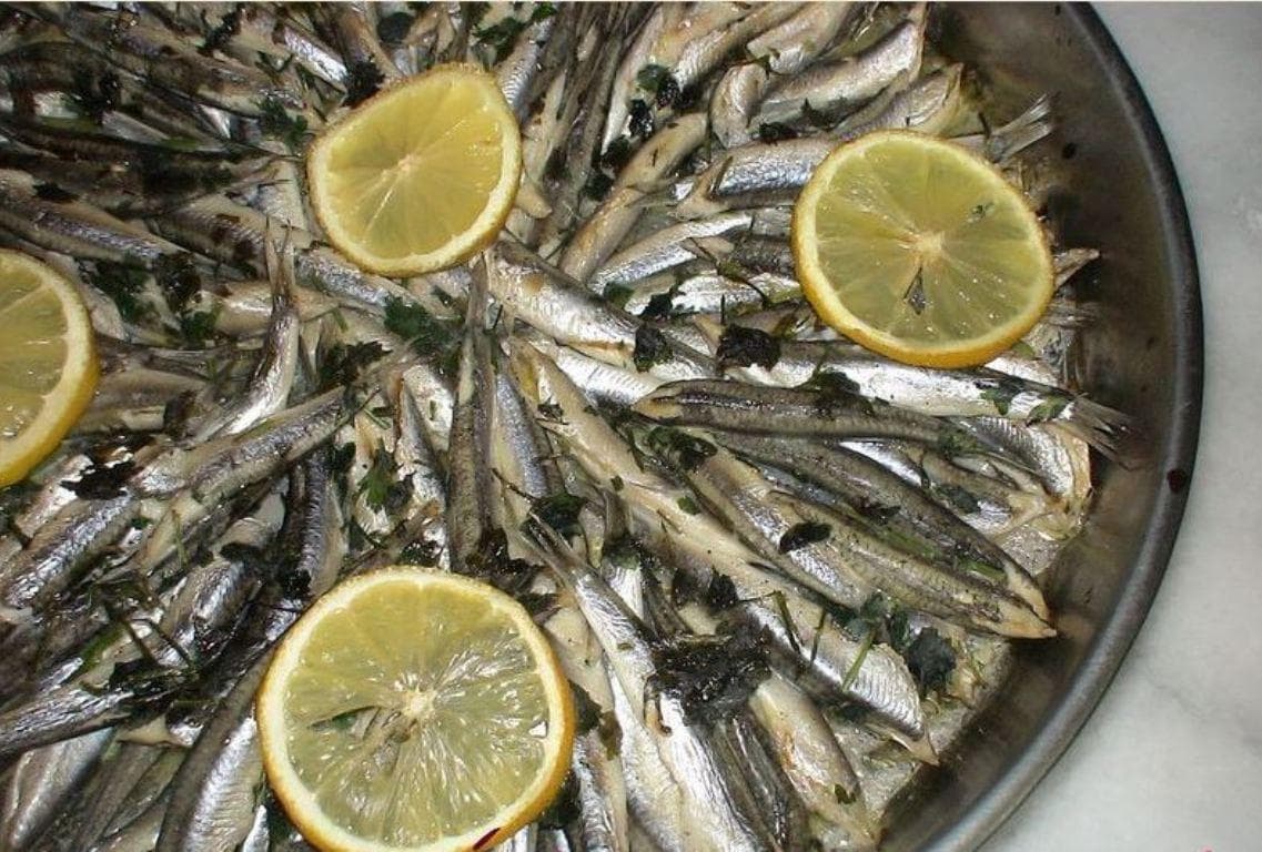 Anchois Roque 2