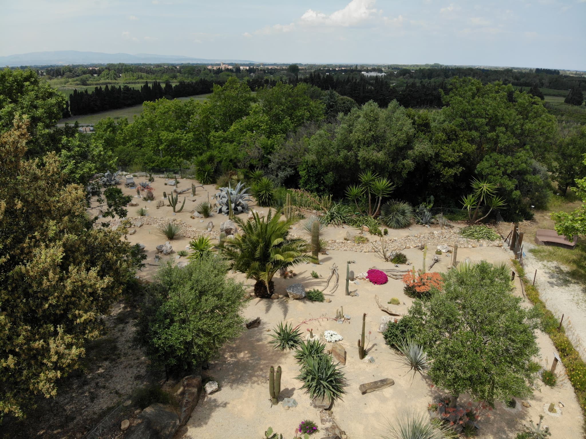 Arbo Jardin xérophyte