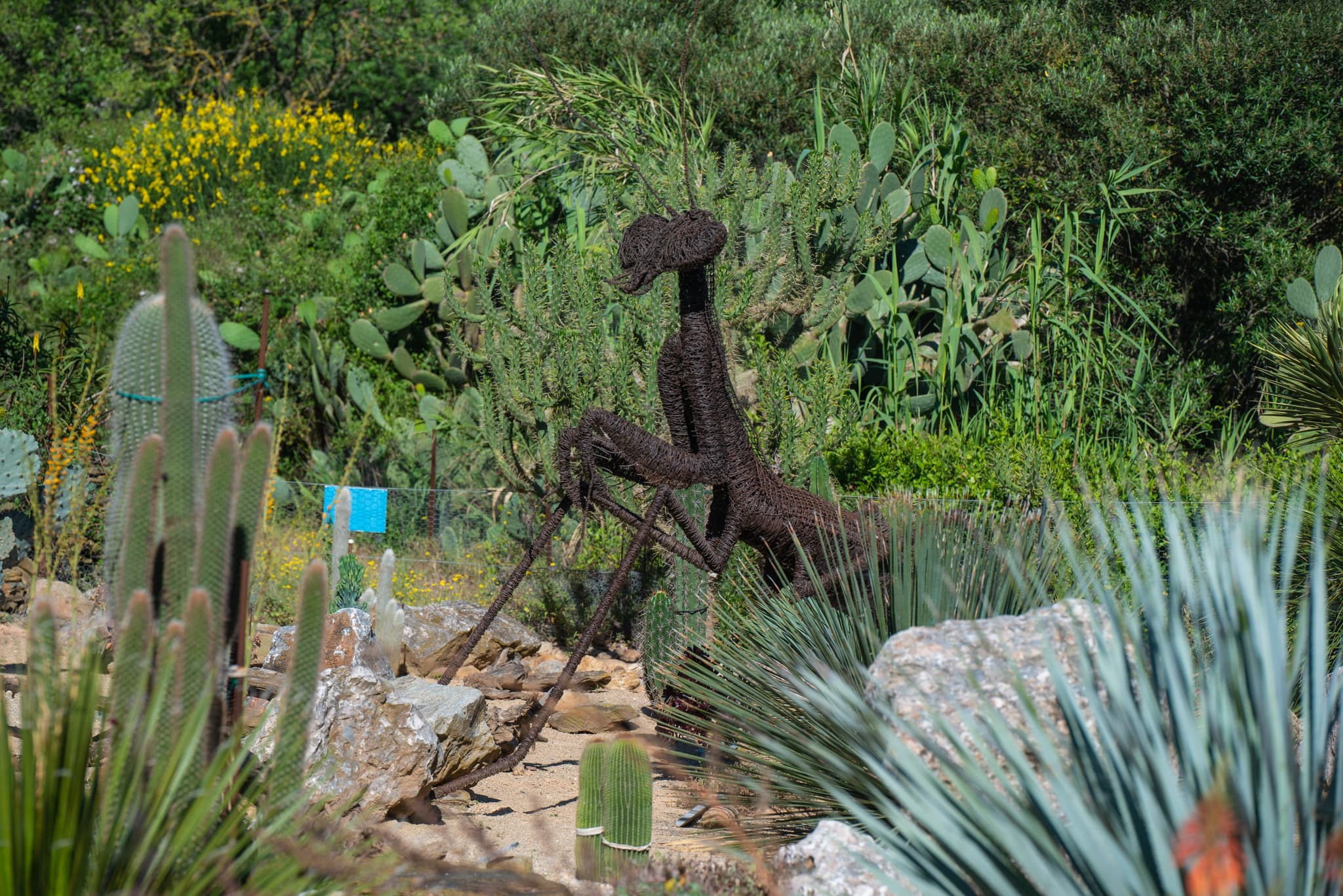 Arbo Canet sculpture©ville de Canet