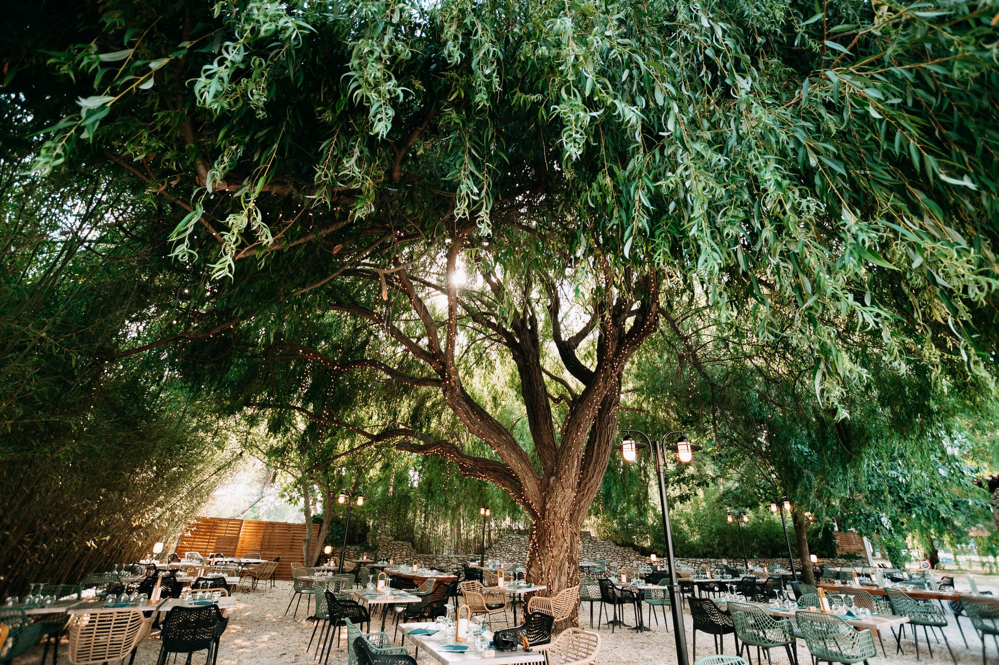 Arbor107