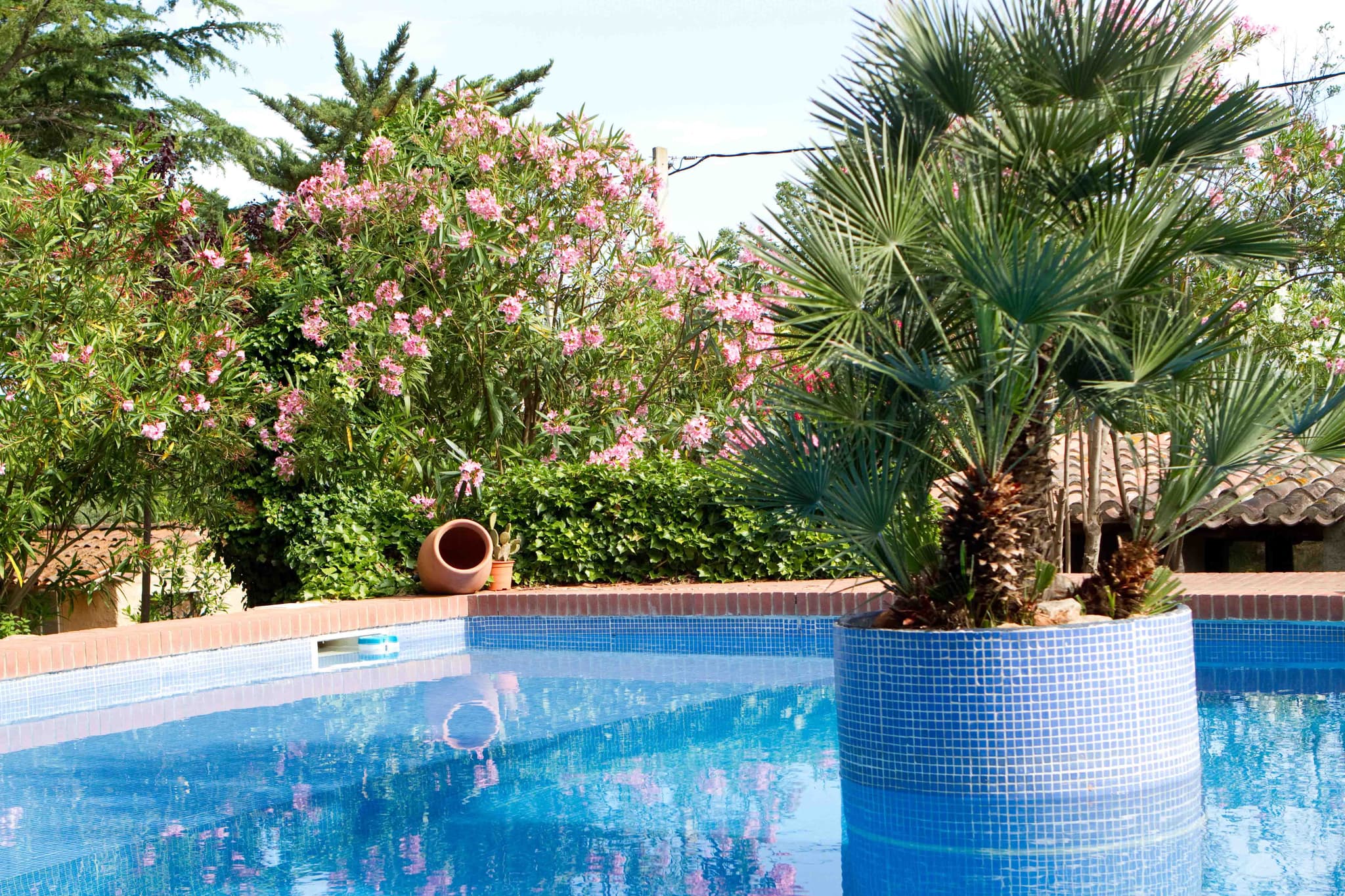 Aspres Thuir Casa 9 piscine