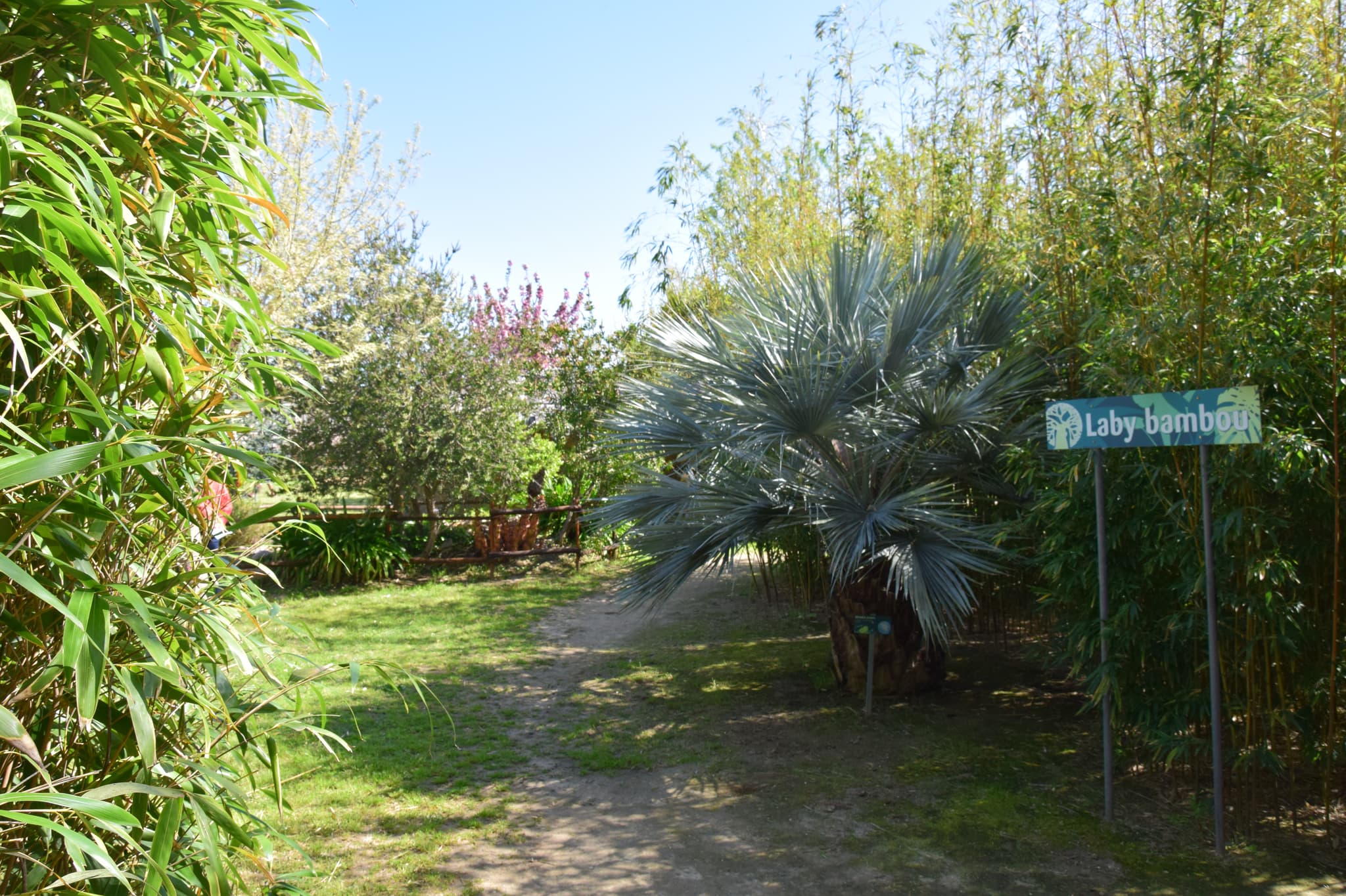Aspres Trouillas Labyrinthe aux 1000 fleurs HD12