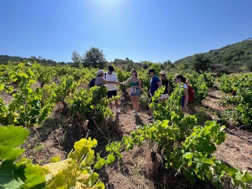 Balade dans vigne ©Pons-Gralet