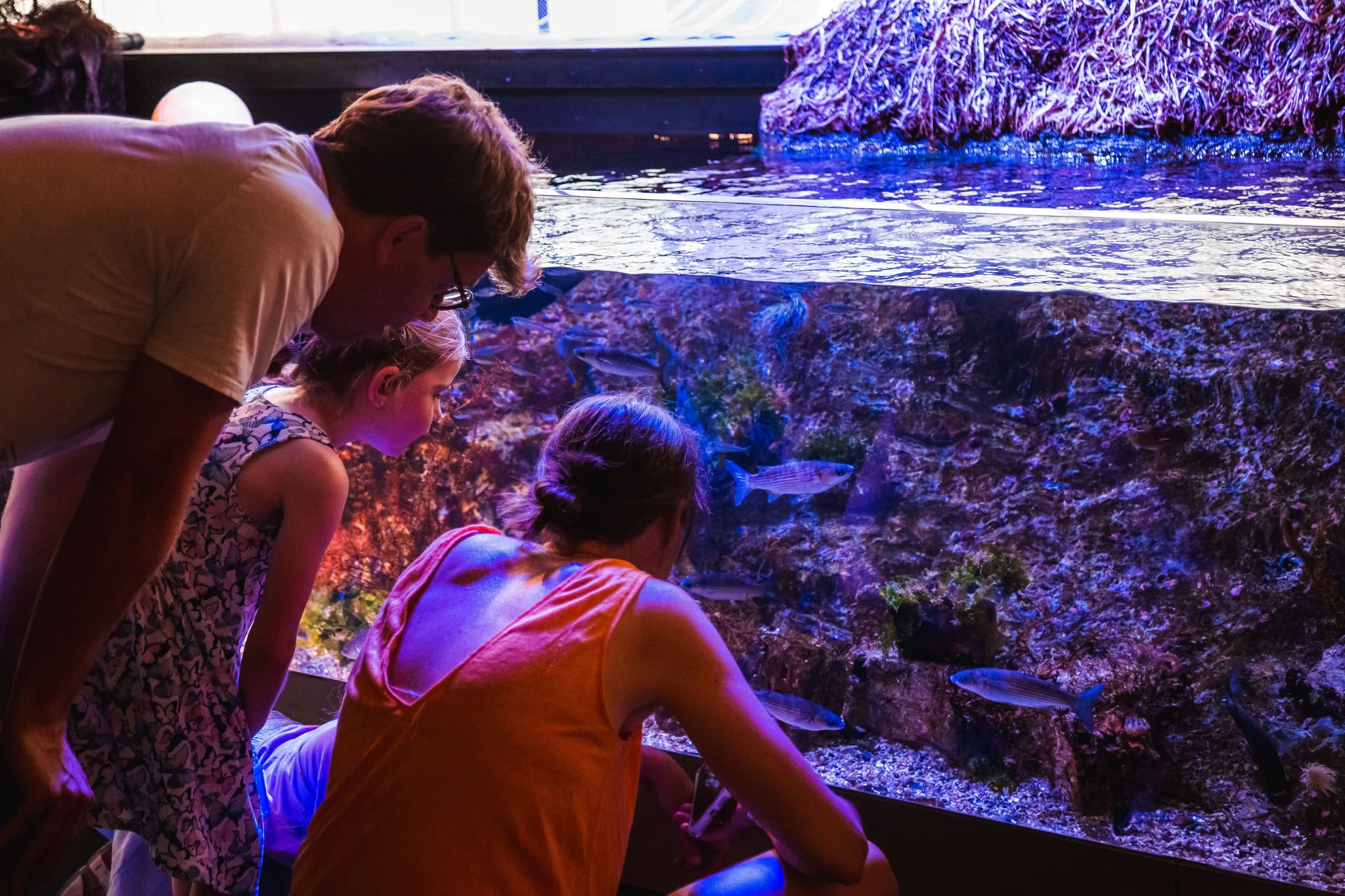 Biodiversarium (4)