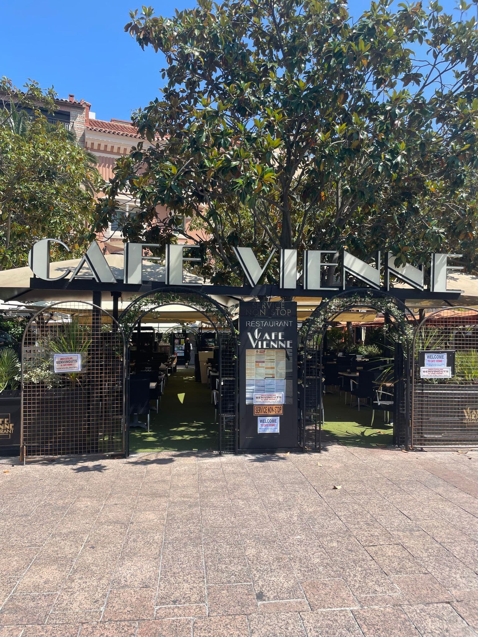 CAFE VIENNE 1