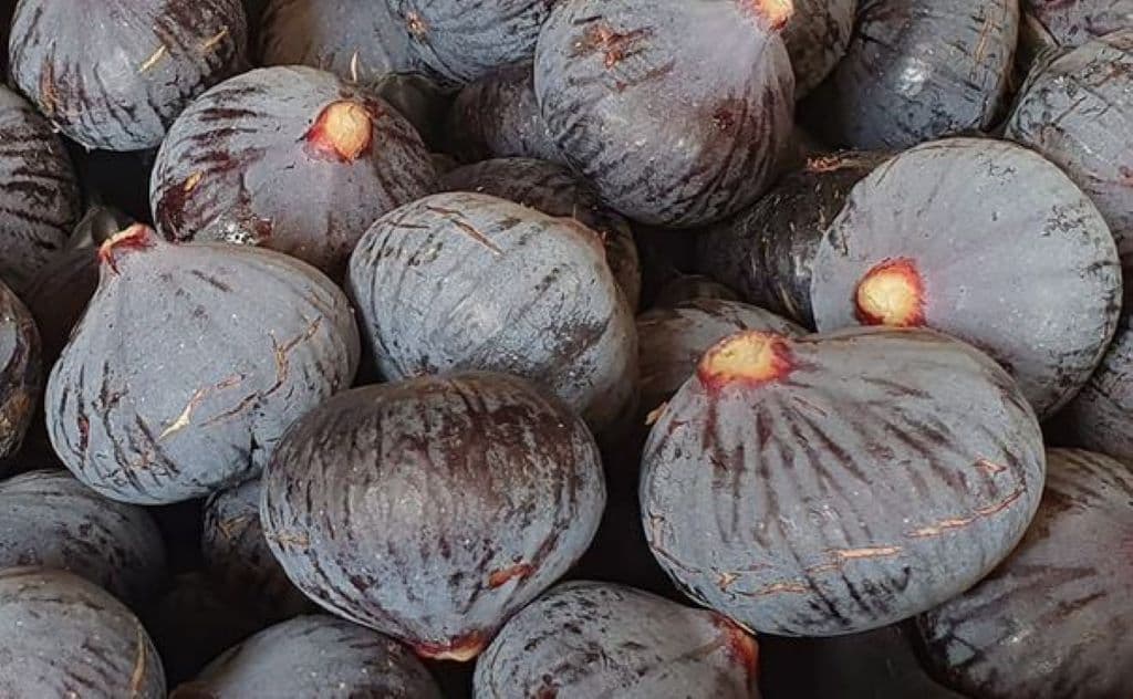 CASES DE PENE LES JARDINS DU PILO FIGUES