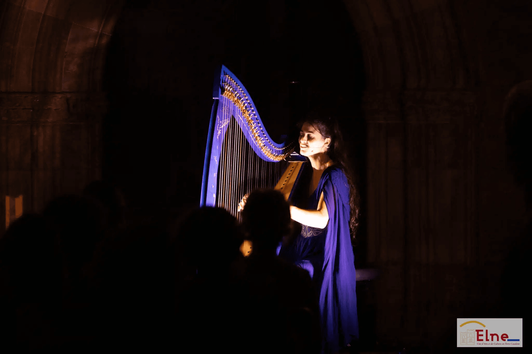 CONCERT HARPE ELNE