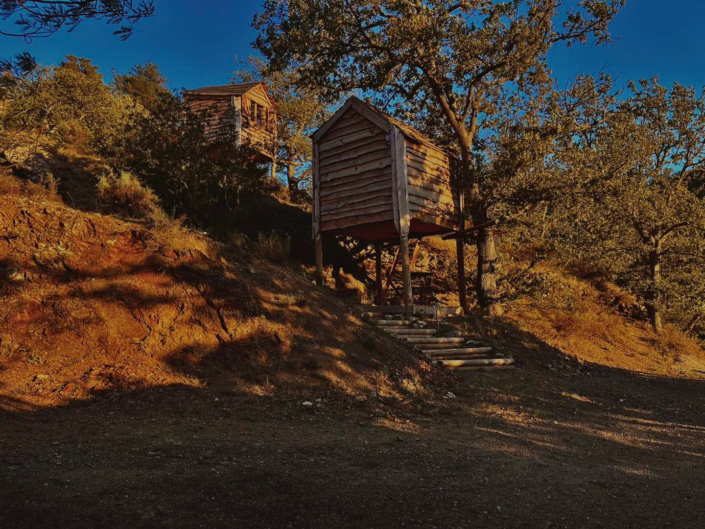 Cabane perchée sur pilotis