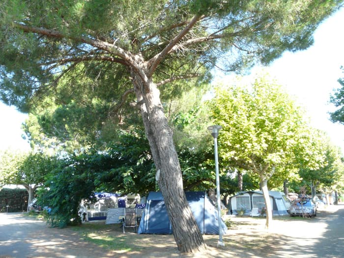 Camping Cap Sud