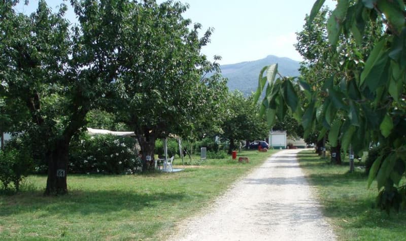 CAMPING LES CERISIERS 3
