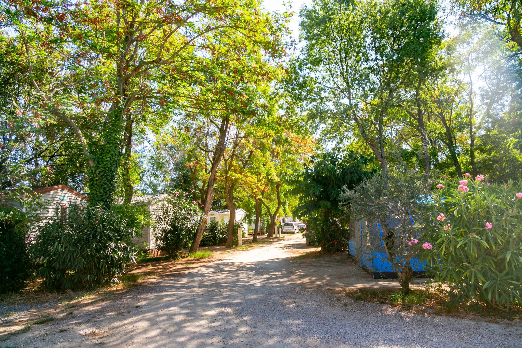 Camping Ombragé