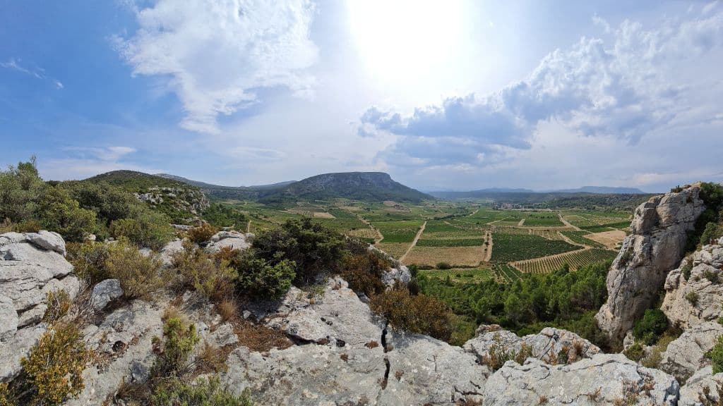 Catalan Wine Escape 2