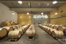 Domaine Thunevin-Calvet