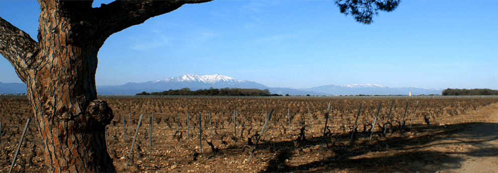 Chateau L'esparrou 1