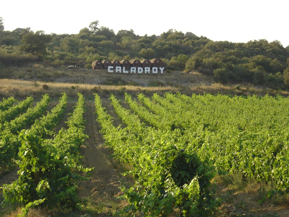 Chateau de Caladroy 3