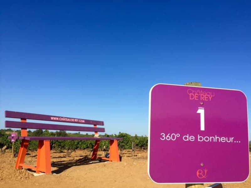 SE PROMEMER DANS LES VIGNES