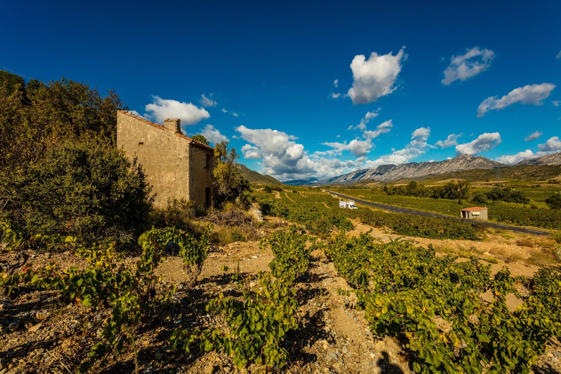 Chateau de l'Ou-Montescot_2