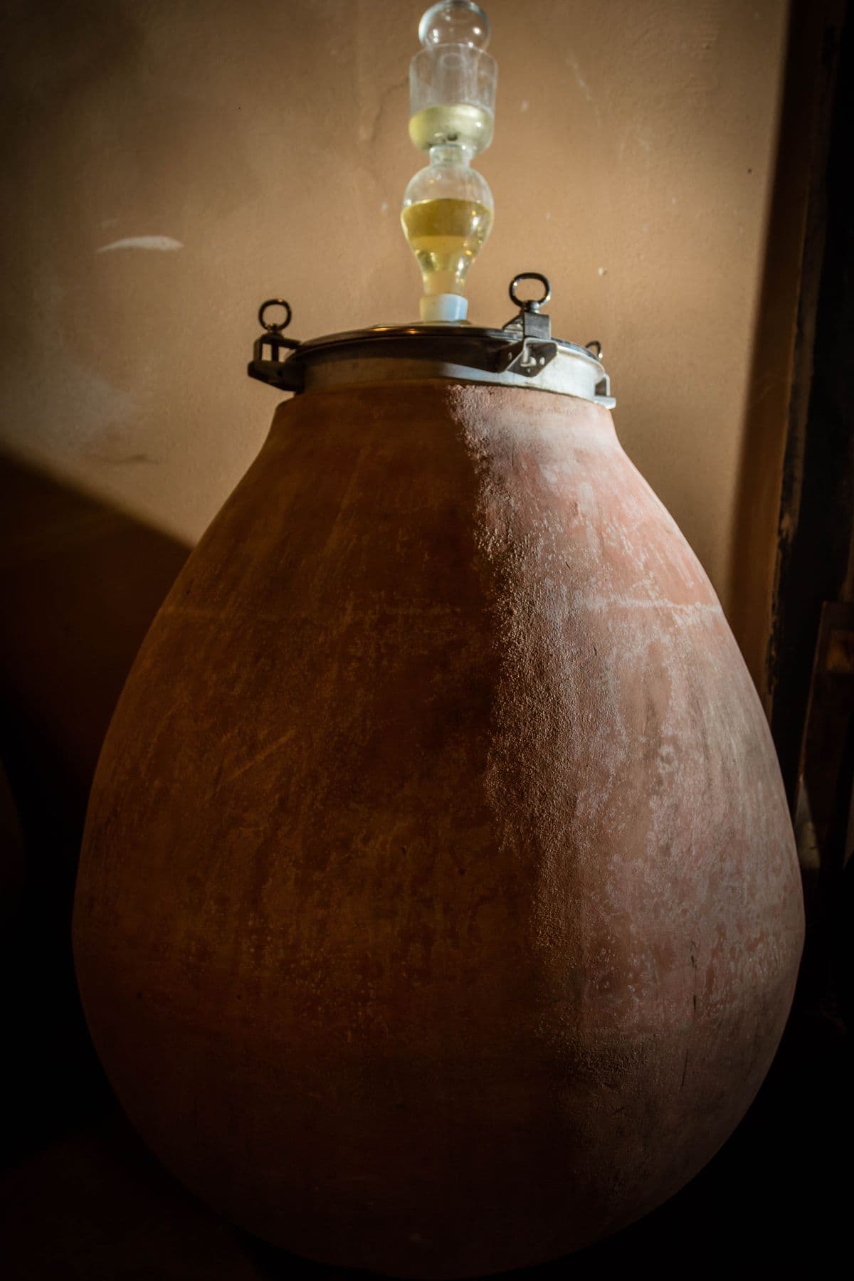 Chateau de l'Ou-Montescot_20