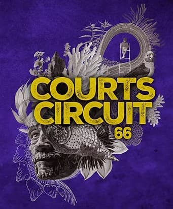 Courts circuit 66