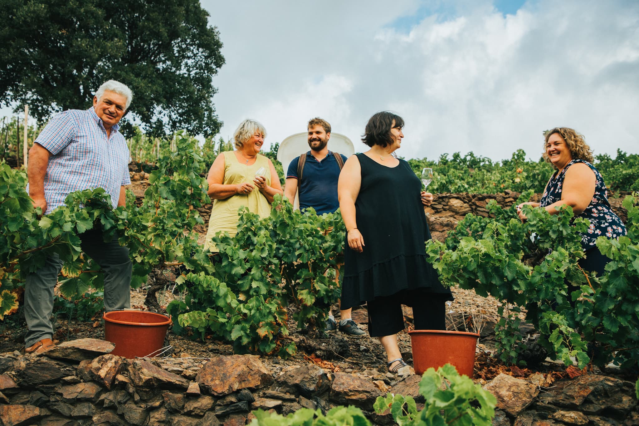 DOMAINE MADELOC