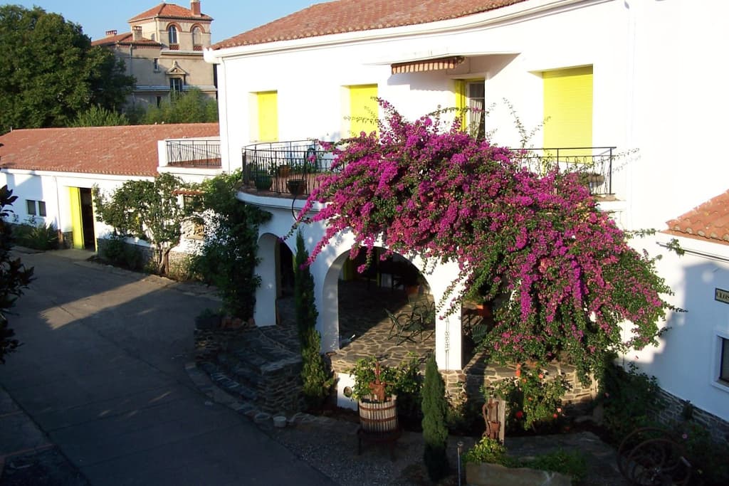 DOMAINE VIAL MAGNERES 1