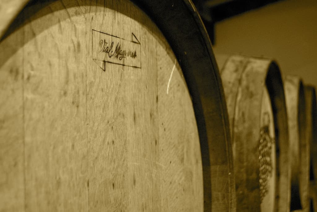 DOMAINE VIAL MAGNERES 2