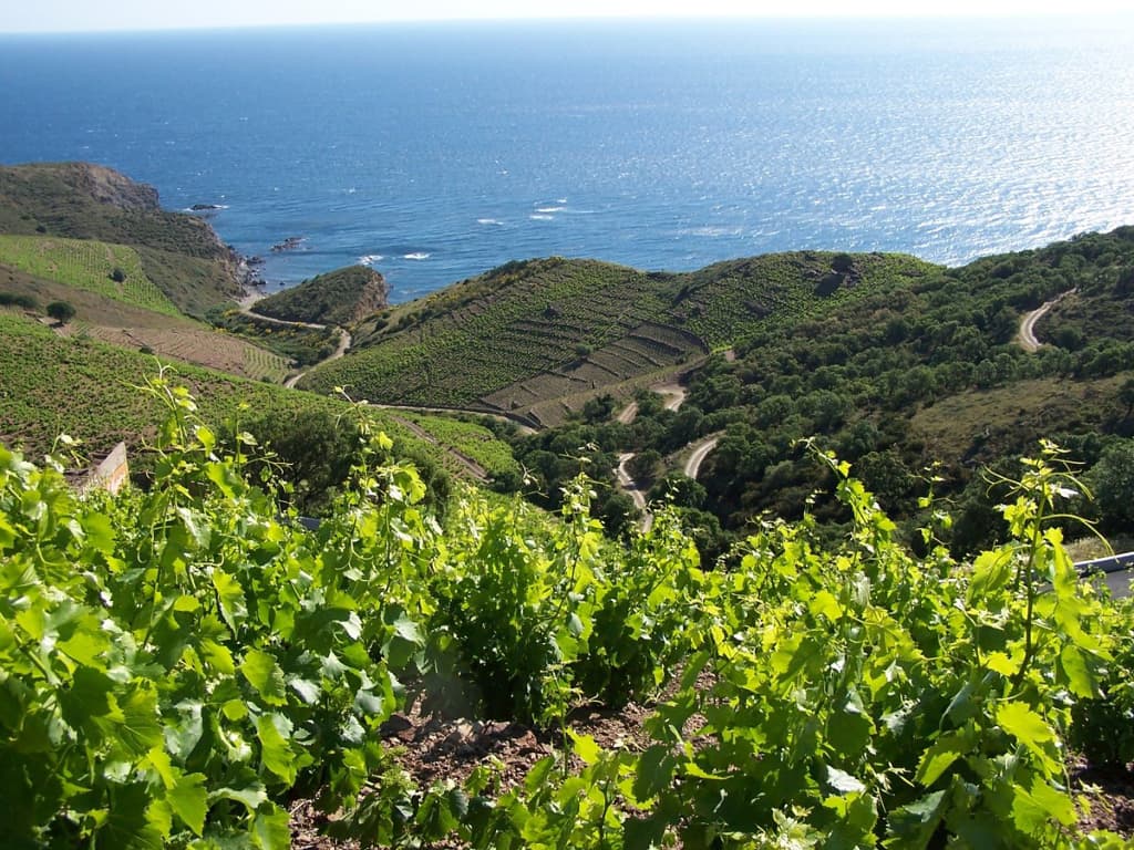 DOMAINE VIAL MAGNERES 6