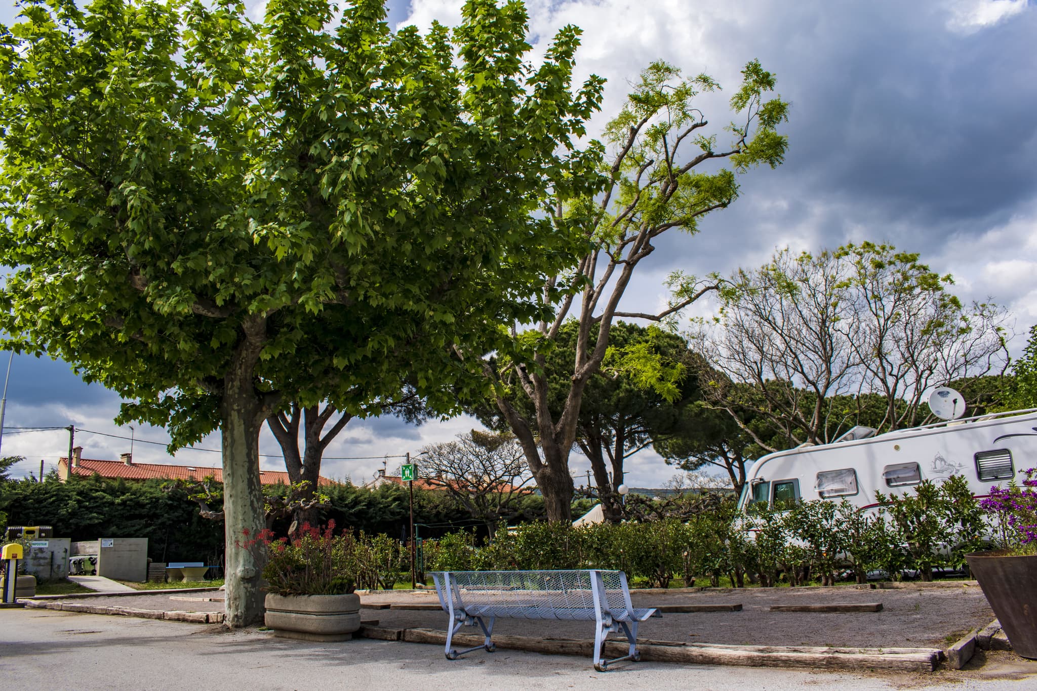 Pétanque