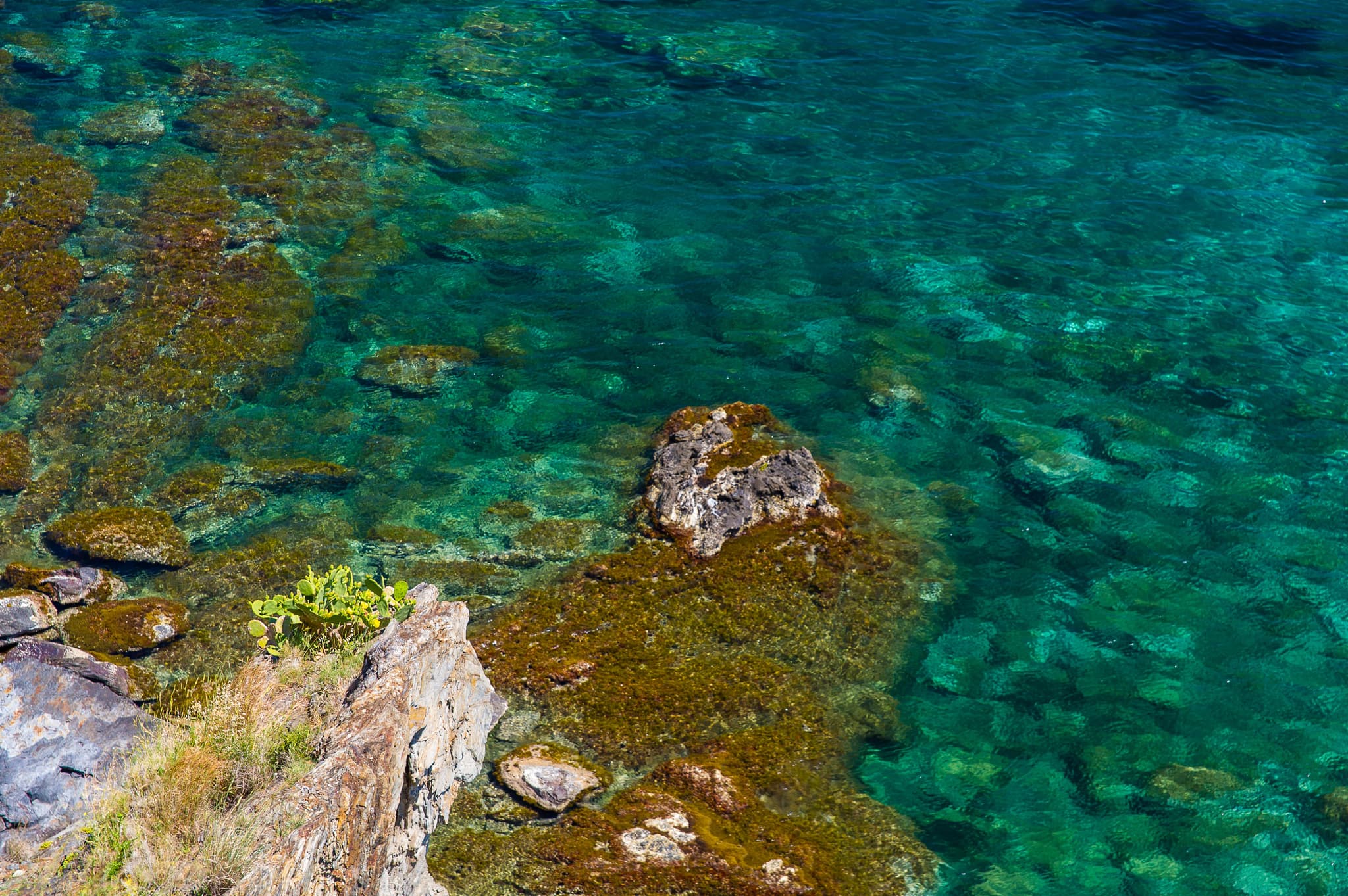 Réserve naturelle marine Cerbere Banyuls