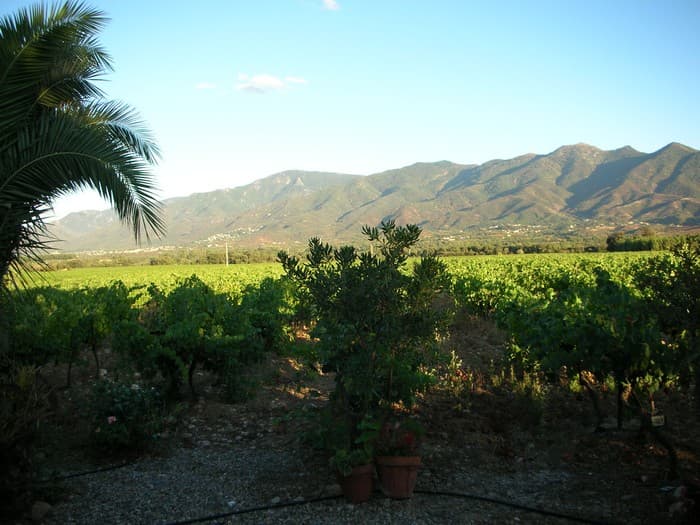 Aspres Tresserre Domaine de Nidolères