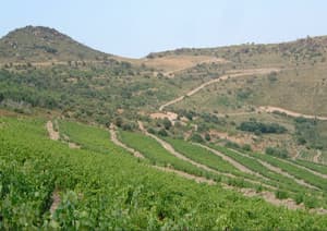 Domaine Boucabeille
