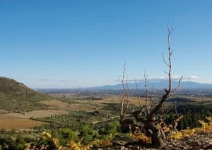 Domaine Boucabeille