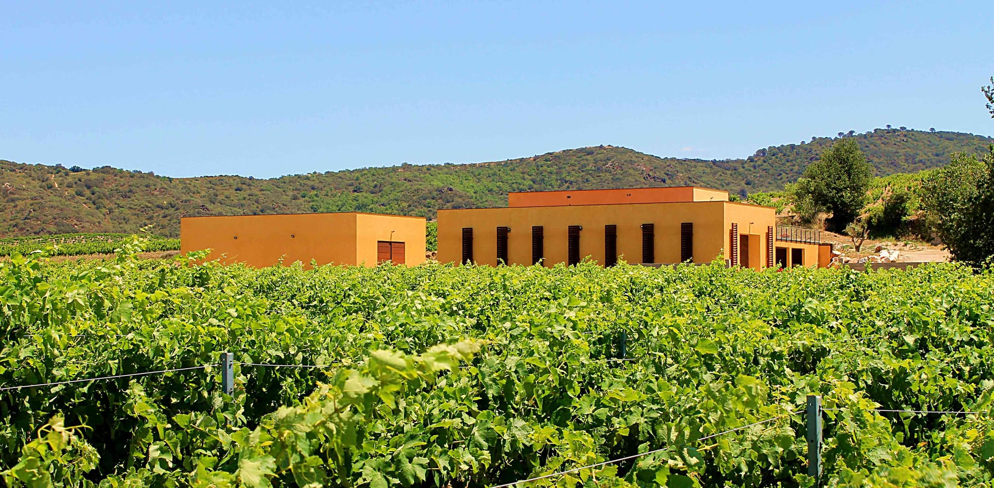 Domaine Deveza 1