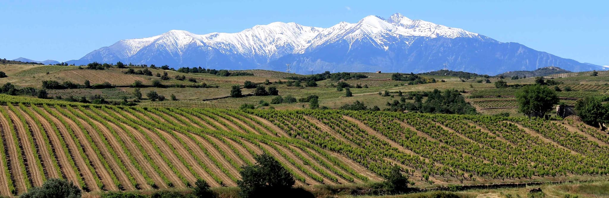 Domaine Deveza 2