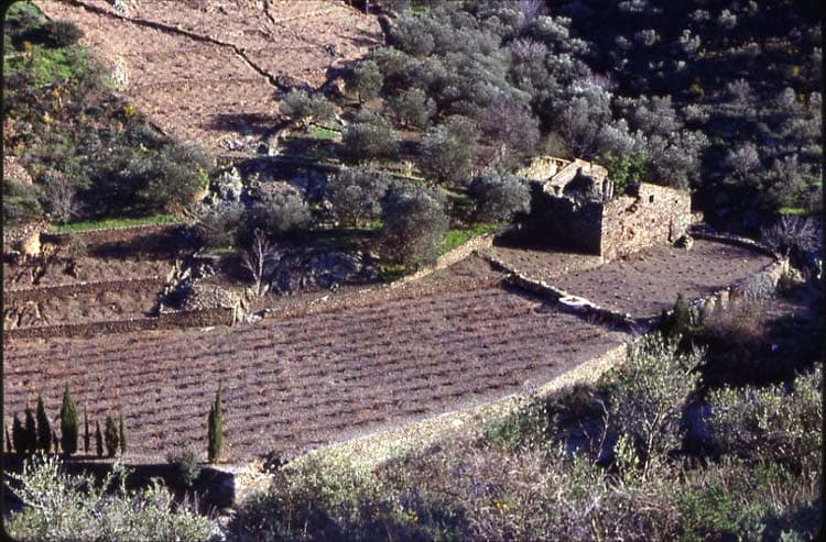 Domaine La Tour Vieille 5