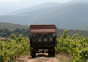 Domaine Laguerre
