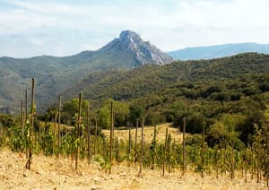 Domaine Laguerre