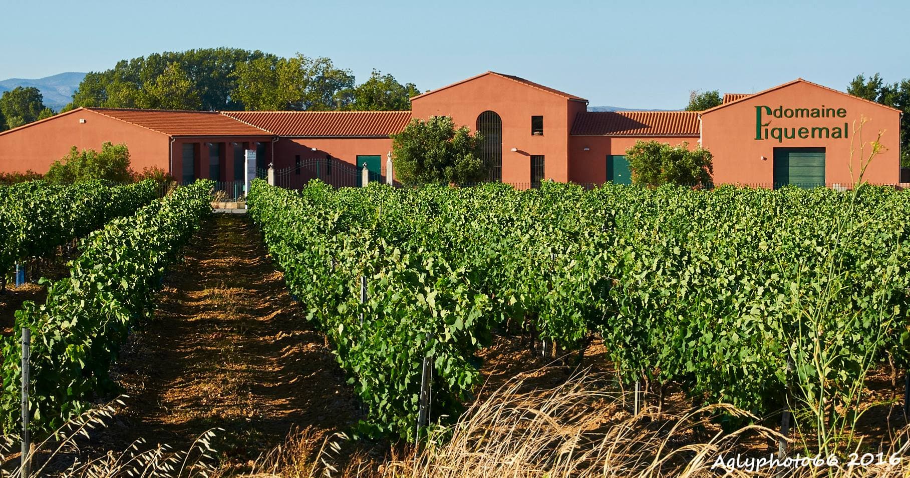 Domaine Piquemal 1