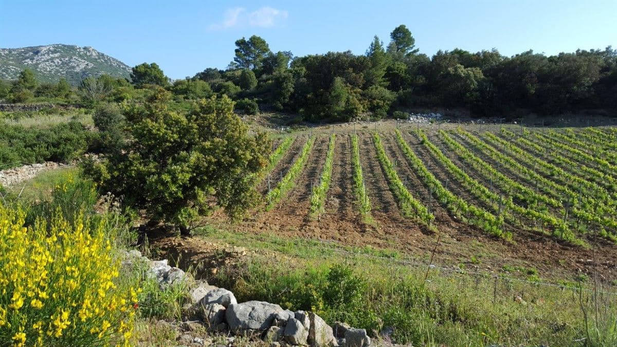 Domaine de l'Edre 1