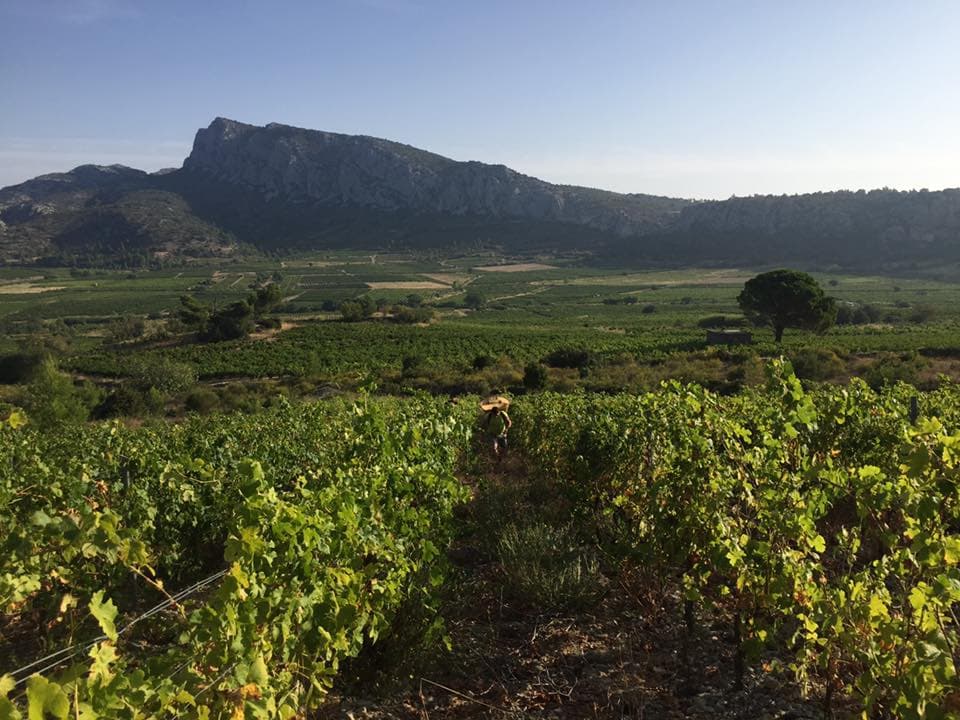 Domaine de l'Edre 2