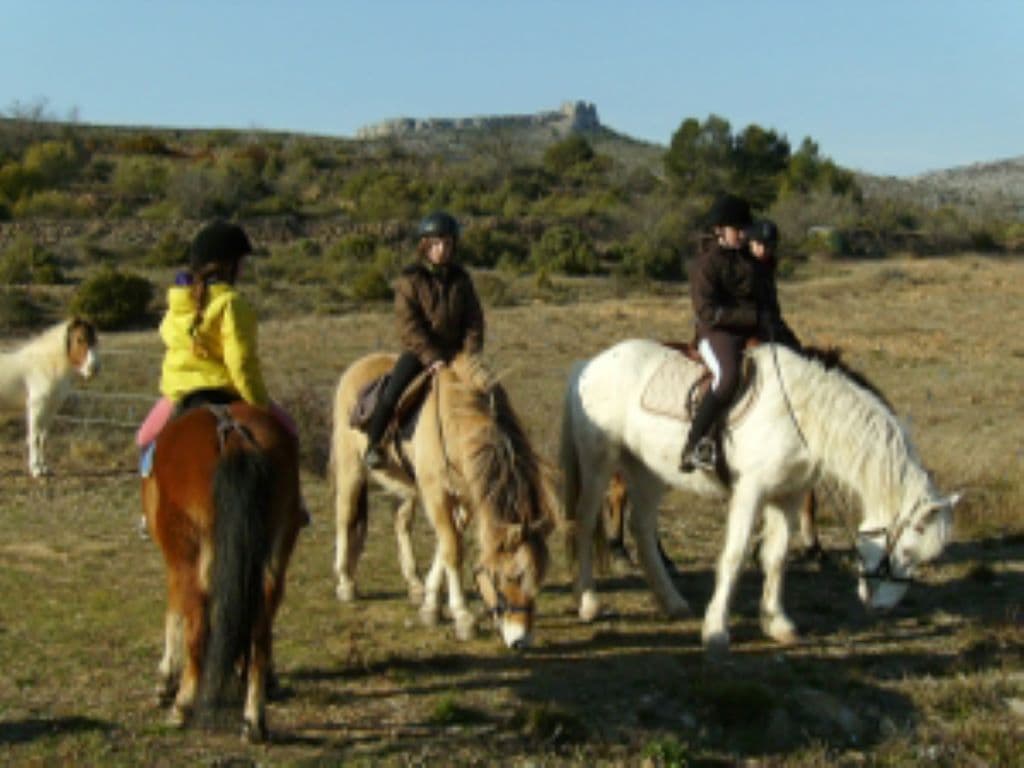 Domaine-des-Escoumettes-2